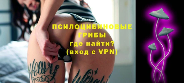 мяу мяу мука Бородино