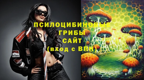 мяу мяу мука Бородино