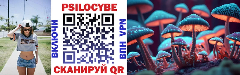 где можно купить наркотик  Высоковск  Галлюциногенные грибы мицелий 